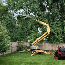 Best Lawn Mowing  in Independence, WI