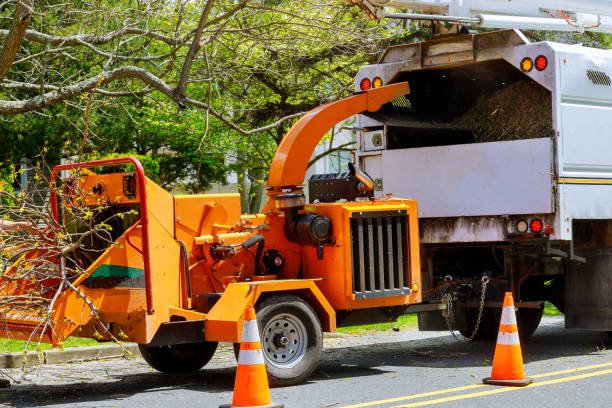 Independence, WI Tree Services Company