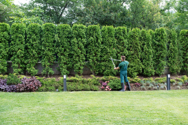 Mulching Services in Independence, WI