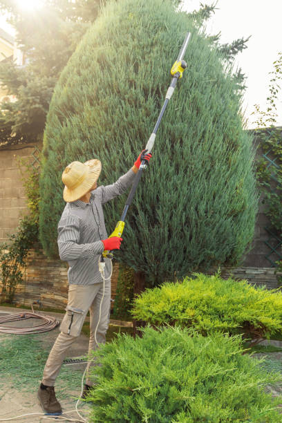 Soil Testing and Treatment in Independence, WI